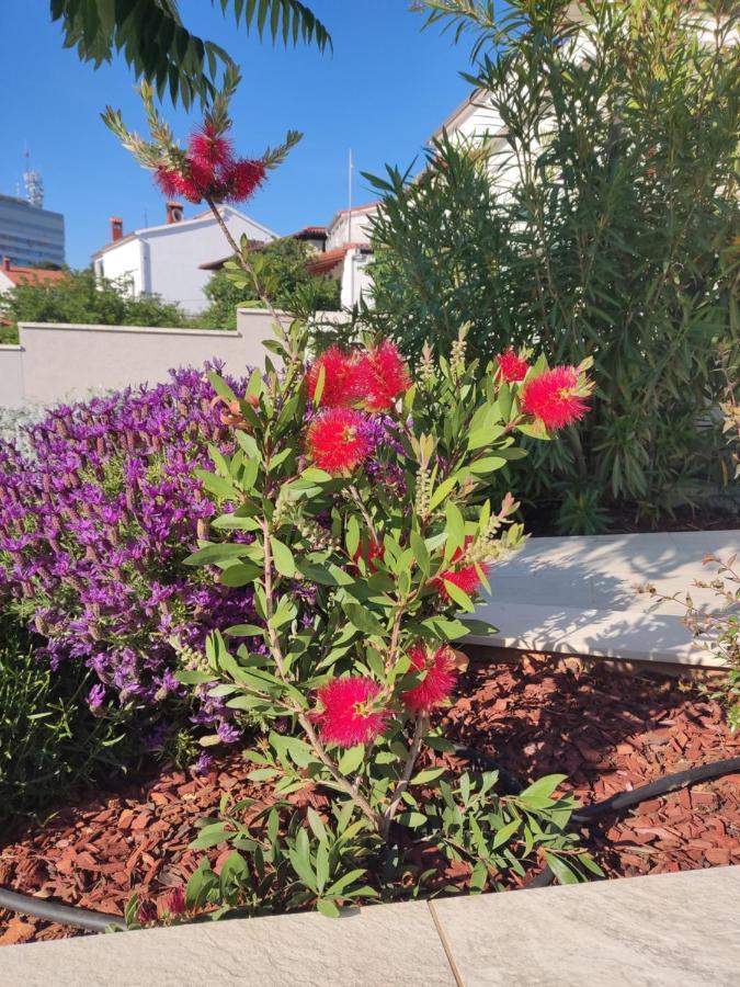 Apartment With Heated Pool, Villa Regina Pula Exterior foto